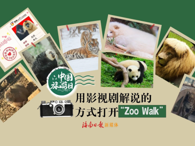中国旅游日｜用影视剧解说的方式打开“Zoo Walk”