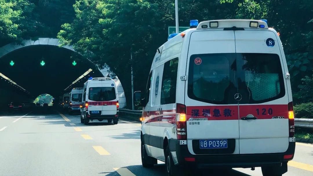 深圳气温攀升，警惕蛇出没！记住，深圳这11家医院有抗蛇毒血清
