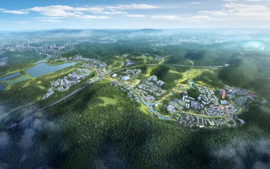 罗湖区印发“低碳先锋城区”行动计划实施方案 持续推进12个近零碳排放区试点项目