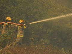 智利致命林火两嫌疑人被捕　竟是消防员与林业官