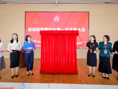 深圳成立首个网络妇联
