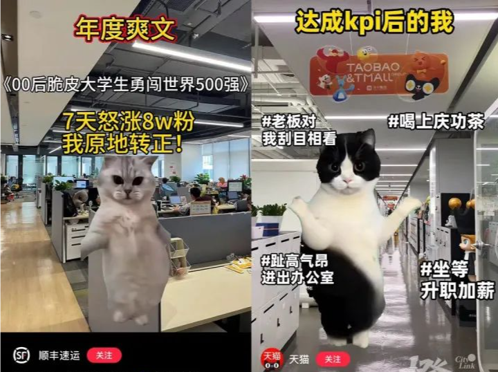 “00后”接管官方账号发它爆火！小猫对话为何让人如此“上头”?
