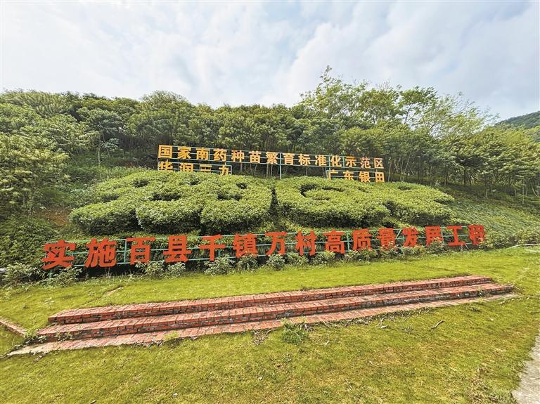 百千万工程的深圳力量·云浮篇丨深圳助力云浮乡村“蝶变”向美而行，传统农业提质升级 新兴产业接连孵化