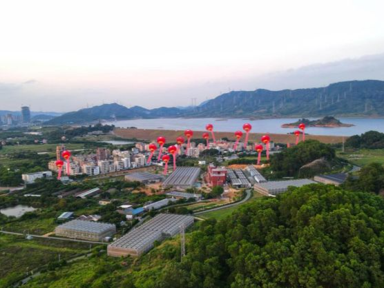 聚焦文博会I 穿越千年古韵,来迳口古村探索非遗之美