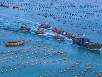 建设“蓝色粮仓”向海洋要食物，哪些养殖用海必须退出？ 