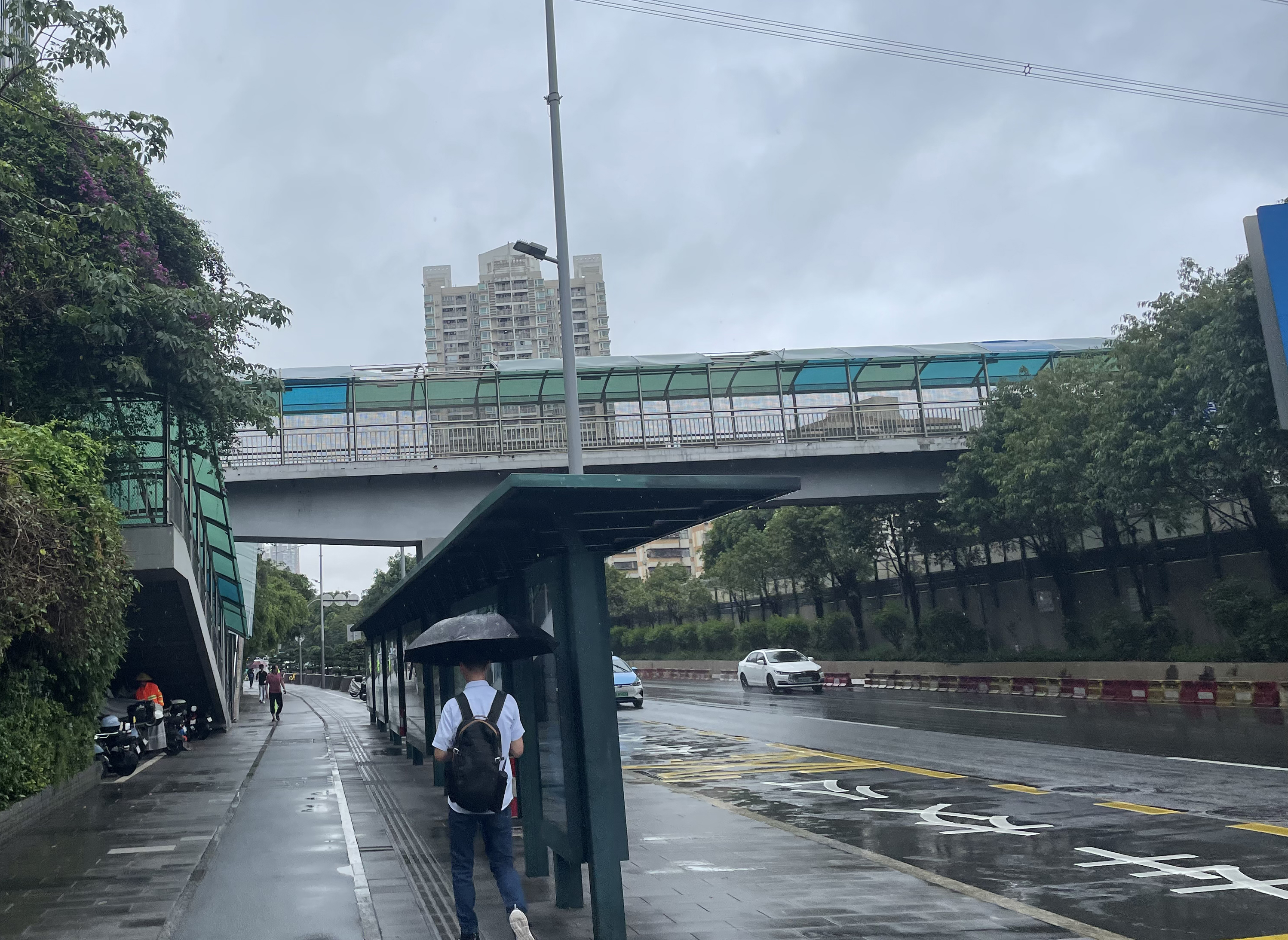多处人行天桥顶棚损坏或桥面损坏，人行道坑洼不平，市民雨天出行不便，呼吁及时整修