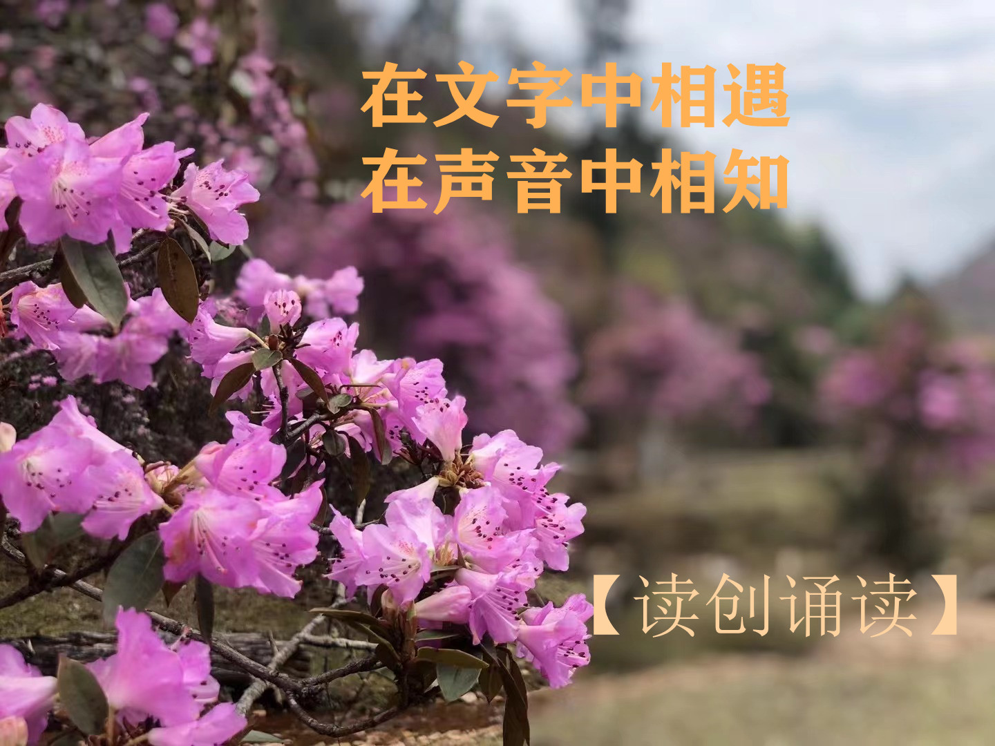 读创诵读(母亲节)|《妈妈,您是儿子心底最深处的信仰》《母亲节写给妈妈的一封家书》(作者:李国坚)