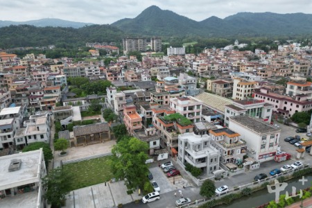 中山三乡镇雍陌村:古村美丽“蝶变”,绘就富民兴村新画卷丨加力提速推进“百千万工程”