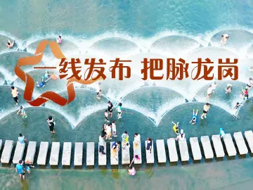 一线发布 把脉龙岗
