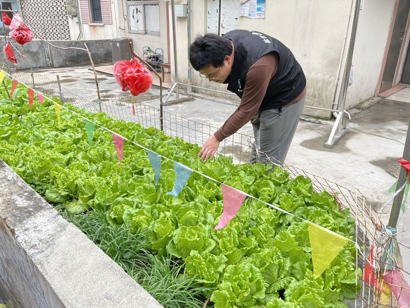 梅沙街道开展禁种铲毒踏查行动