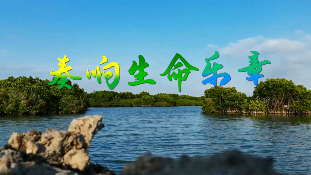 微视频｜奏响生命乐章