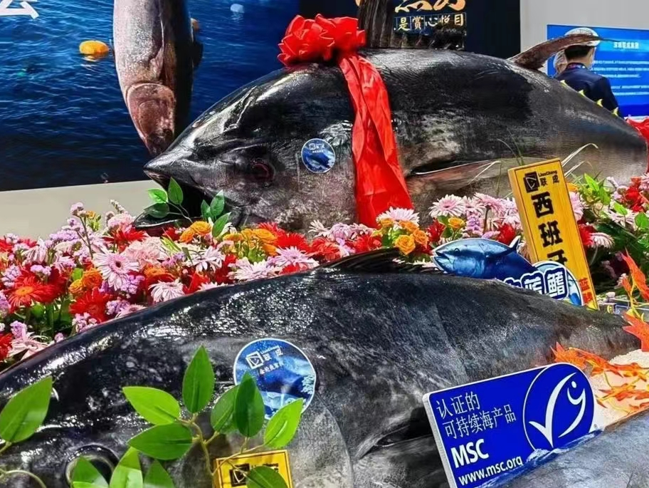 优惠来了！逛深圳渔博会享无门槛数币福利！