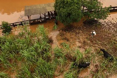 （外代一线）（2）巴西南部因暴雨死亡人数上升至29人