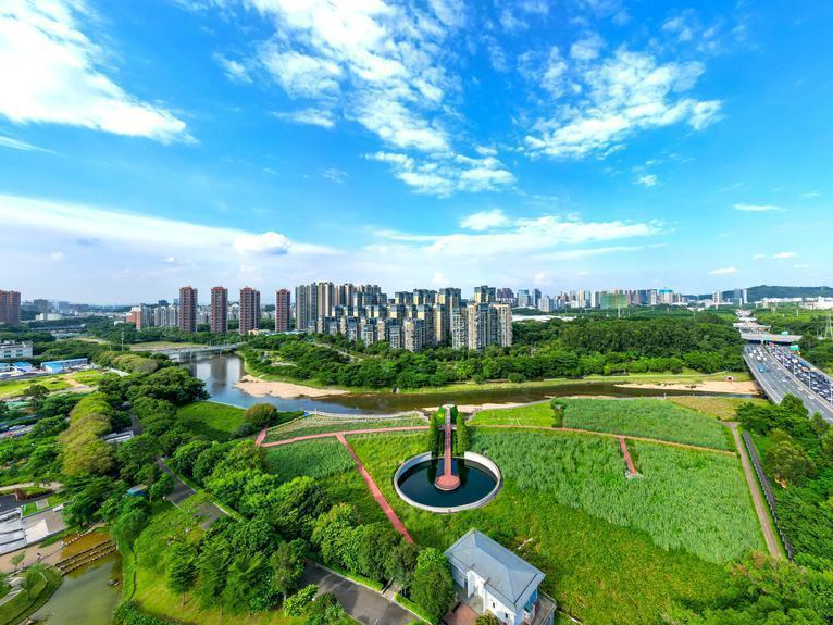 龙华区民治街道积极开展“扫黄打非”  专项检查行动，筑牢文化市场安全屏障