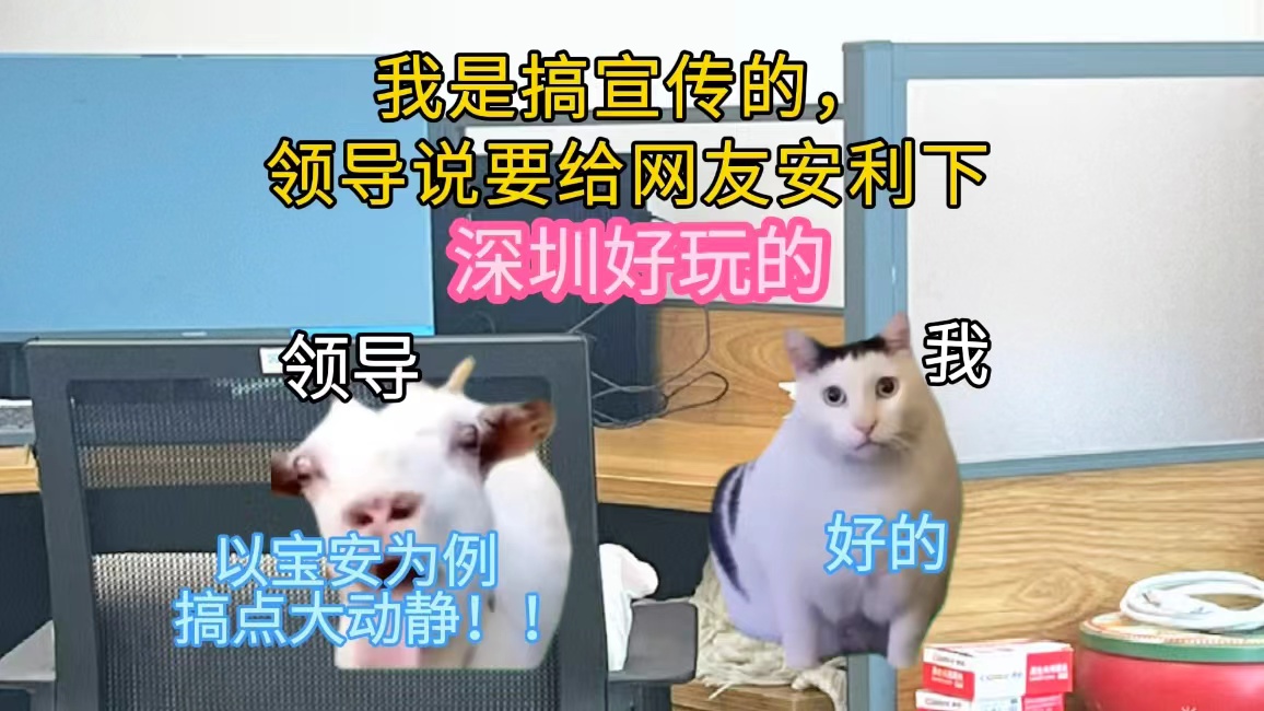 官方号整活：猫meme的风还是刮到了宝安