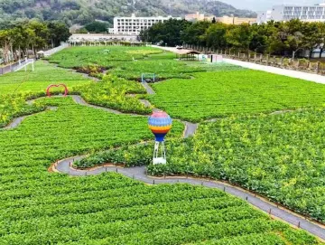 四季滨海田园吸引游客纷至沓来  到大鹏研学团建享农夫之乐——《走进深业农科“四季”农旅项目》系列报道之一