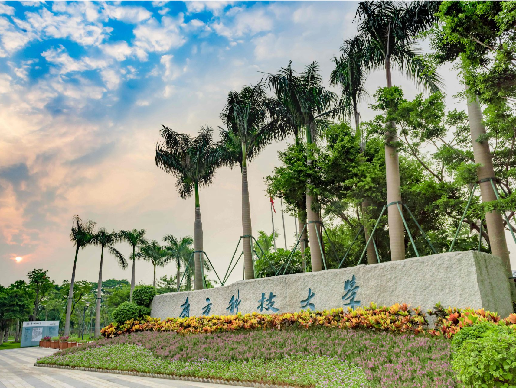 南方科技大学召开专题座谈会推动思政课建设