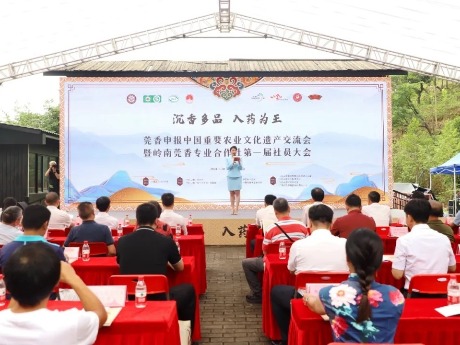 推动莞香产业发展，大岭山举行莞香盛典仪式