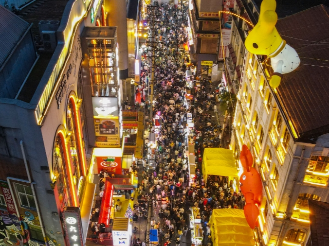 2024年“五一”假期国内旅游出游2.95亿人次