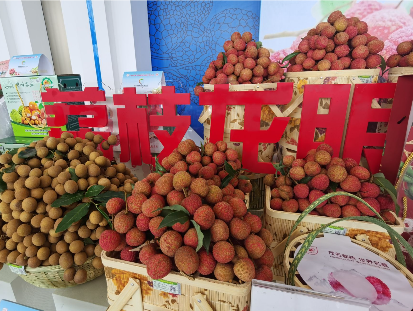 科创品牌双轮驱动，广东茂名以“荔”为题助力乡村振兴