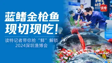 直播 | 蓝鳍金枪鱼现切现吃！读特记者带你抢“鲜”解锁2024深圳渔博会