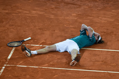 （体育）（6）网球——马德里公开赛：卢布列夫夺得男单冠军  