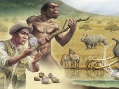 远古发现|180万年前狗狗祖先的便便，告诉我们什么？
