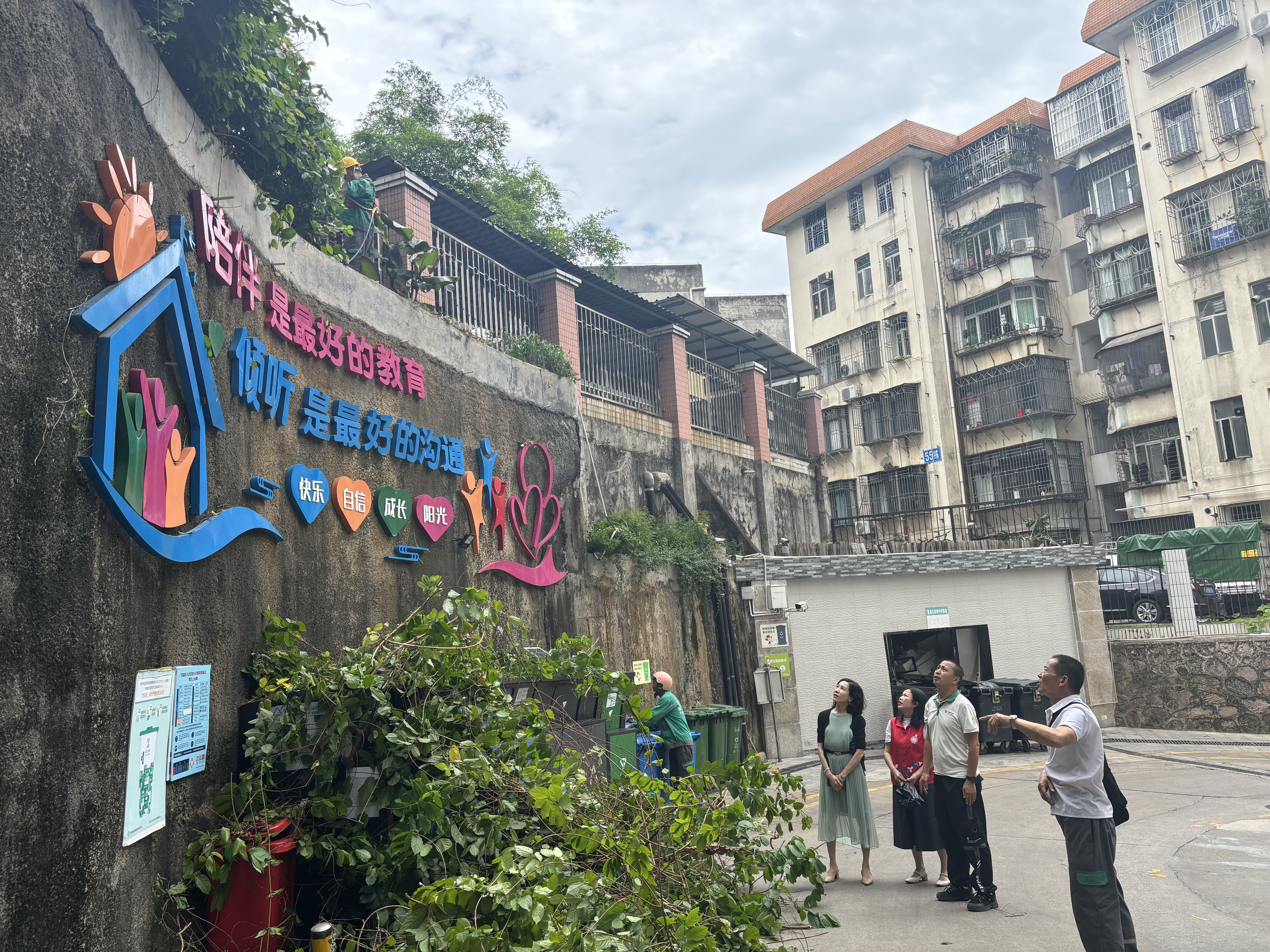 翠岭社区开展市容环境提升行动