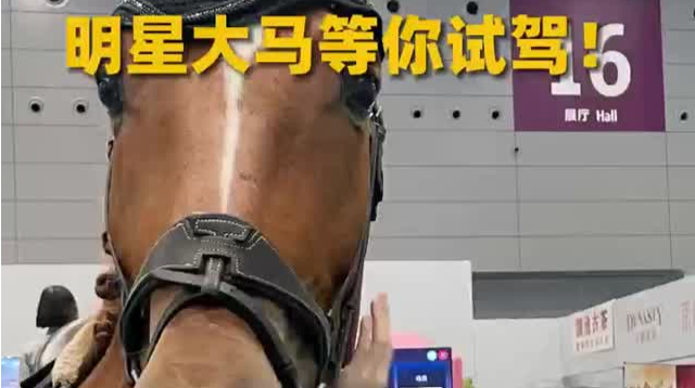 速来围观！明星大马等你试驾！
