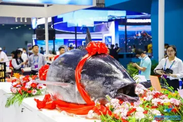 深圳味道！百种 “圳品”将亮相2024深圳渔博会