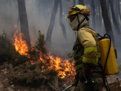 西班牙今年因山火烧毁土地面积较去年同期减少54.9%