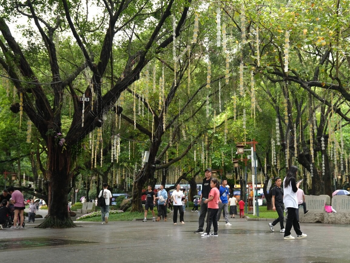 “五一”假期首日惠州市市区景点游客热情不减