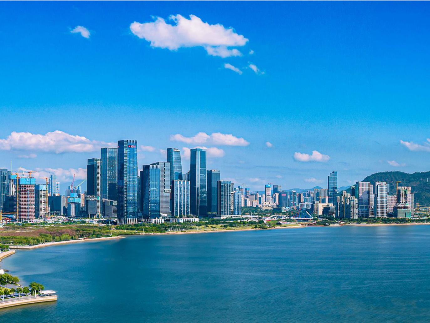深圳市专家学者：走出深圳高科技发展的特色之路