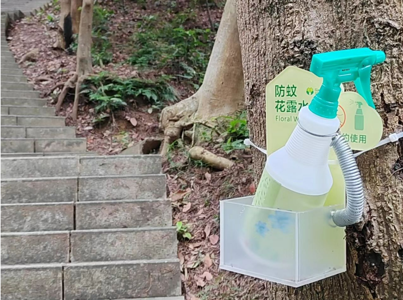 “细节控”直接爱上！深圳公园，你还有多少惊喜是我们不知道的？