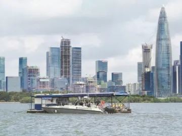 山海绘就新篇、城市发展共赢！深圳湾禁渔10载鱼跃鸟欢