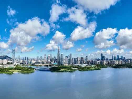 政务服务升级六大场景！深圳加速推动“高效办成一件事”