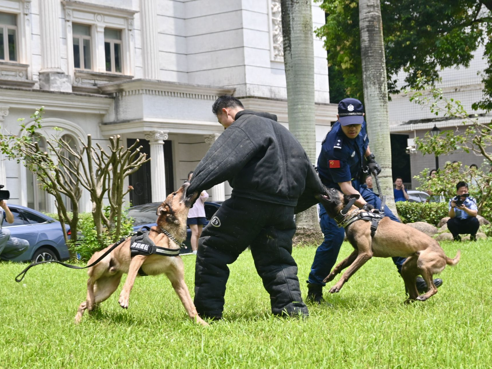 缉毒犬在市民面前亮绝活，深圳海关缉私局举办国际禁毒日宣传主题活动