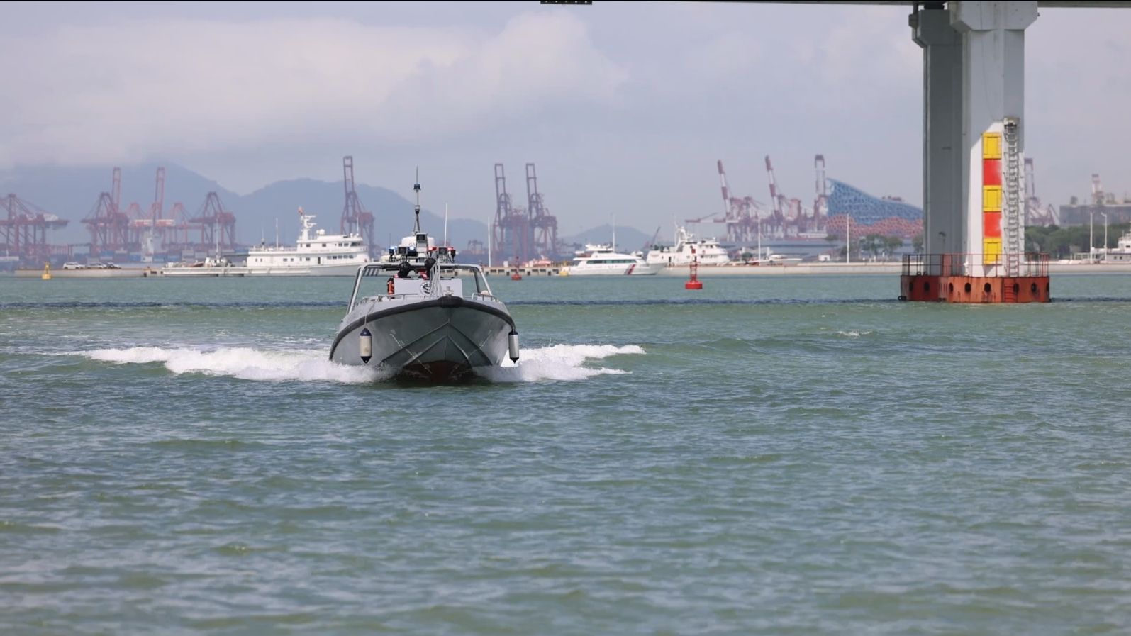 城市与生态共赢 深圳湾禁渔十载显成效
