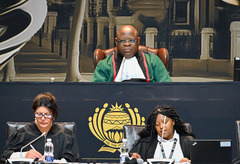托科·迪迪扎当选南非国民议会议长（3）