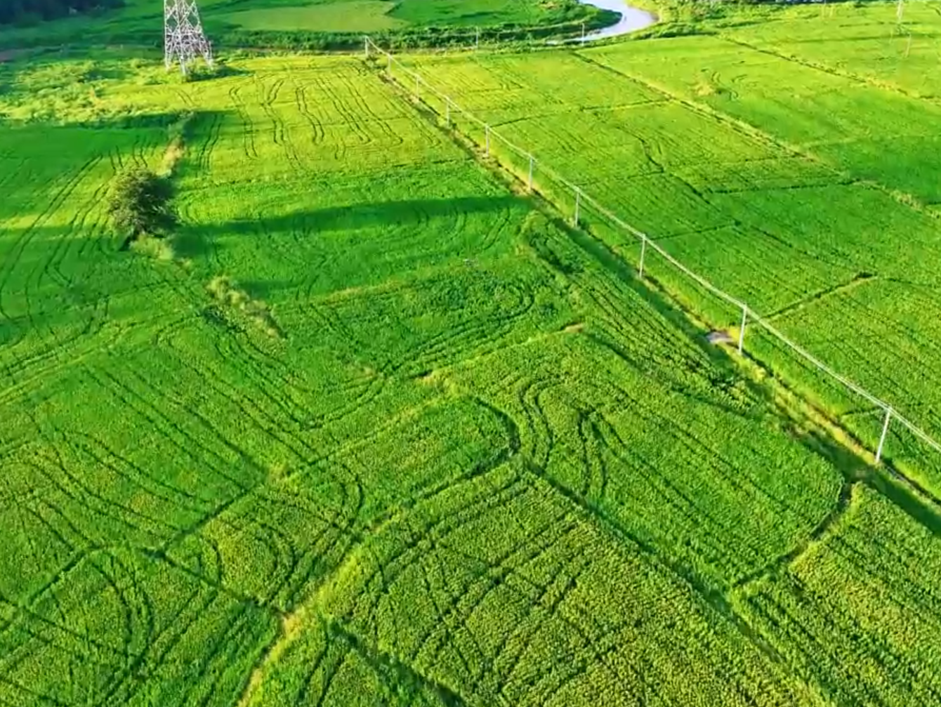 《深圳市2024年“6·30”助力乡村振兴活动倡议书》6月13日发布