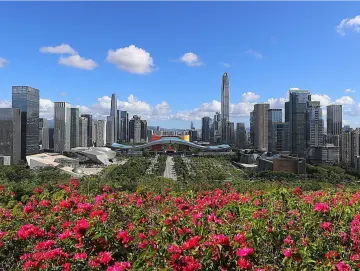 2024年深圳市妇女联合会“谁执法谁普法”履职报告