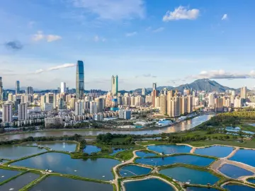 2024年深圳市信访局“谁执法谁普法”履职报告