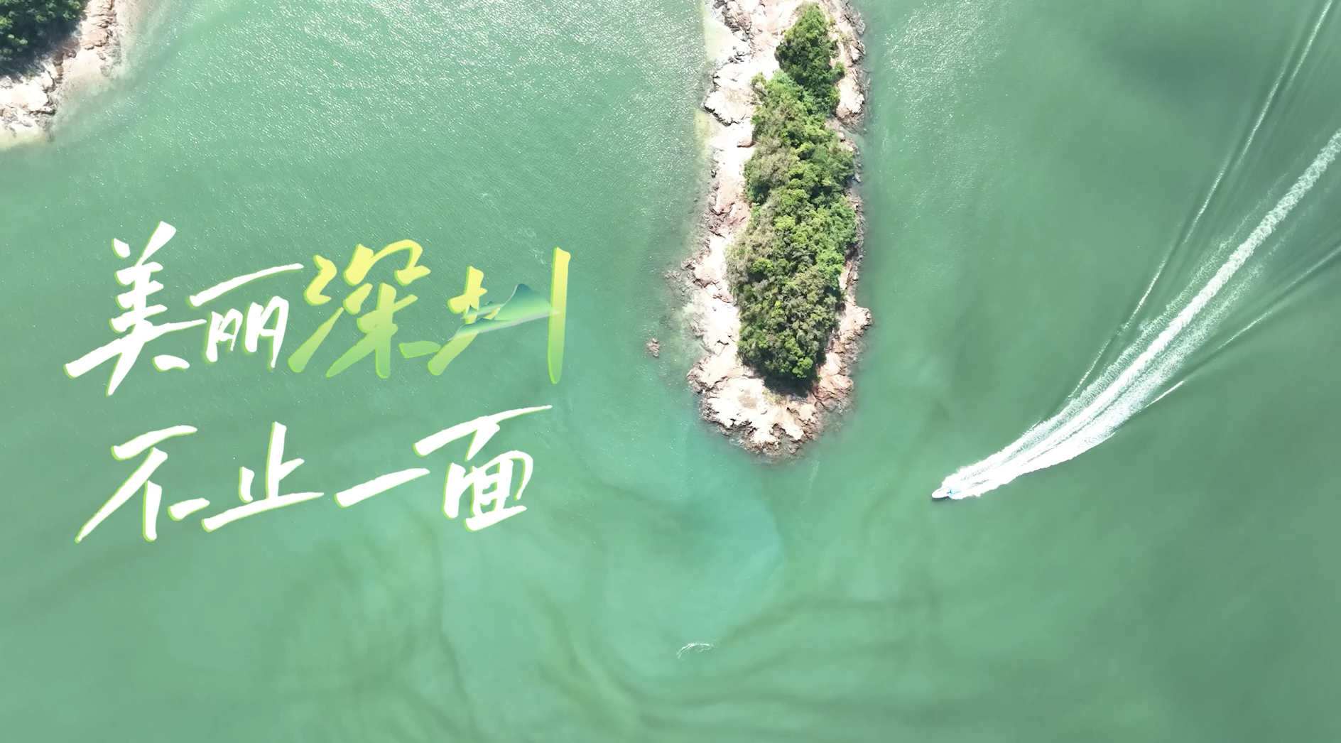 世界环境日｜ 深圳率先打造美丽中国典范
