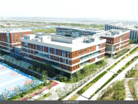 新大学密集官宣，该怎么选？