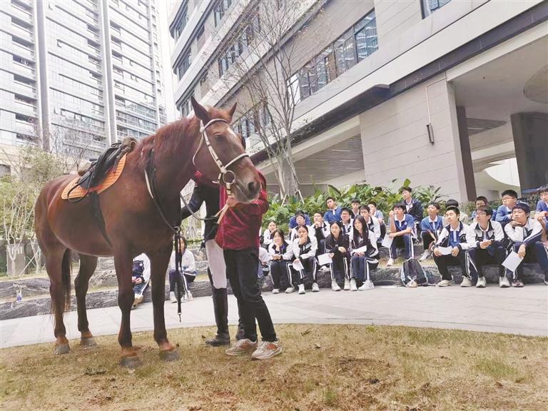进击吧，深圳少年！这些小众运动在深圳校园“出圈”
