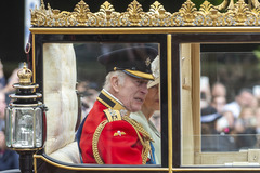 英国举行皇家阅兵式庆祝国王官方生日（1）