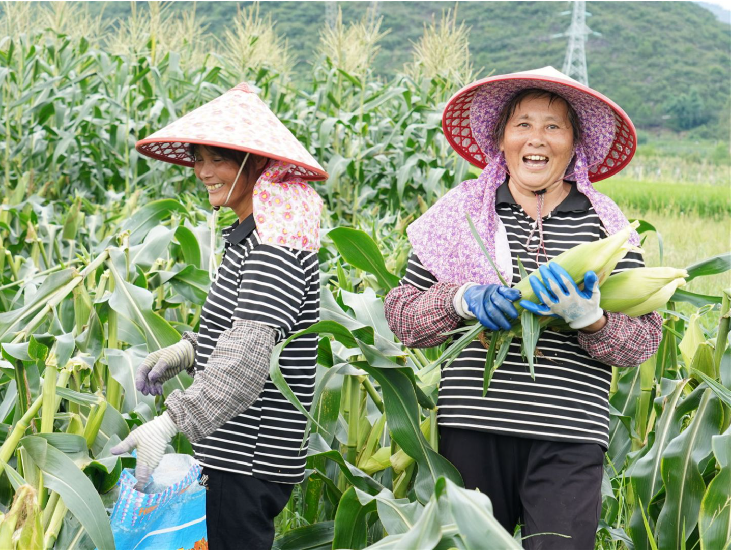 引得进来、走得出去！贺州加速融入粤港澳大湾区1.5小时经济圈