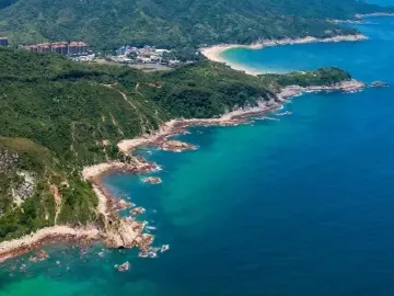 2024年深圳市文化广电旅游体育局“谁执法谁普法”履职报告