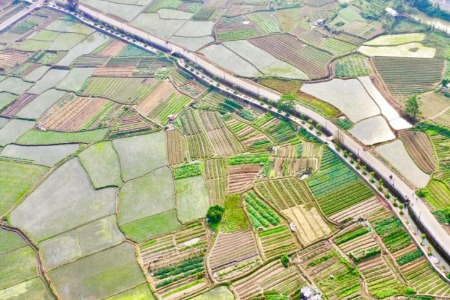 率先实行“送图入村”，中山耕地保护获省表彰