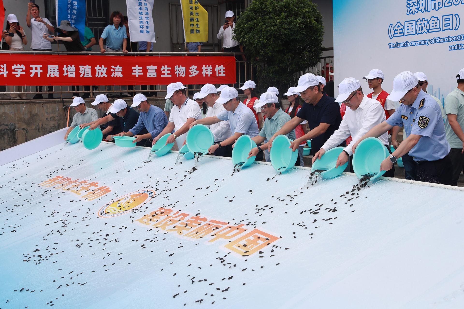 深圳增殖渔业资源，助力建设全球海洋中心城市
